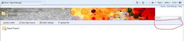 reporting server page